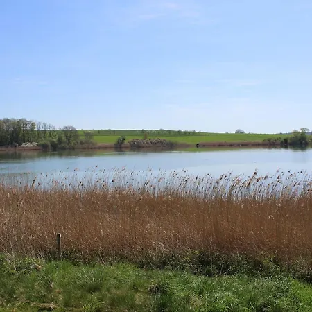 Mobil-home Avec Terrasse Au Bord De L'etang, A 20 Min De Nancy - Activites Nautiques Et Randonnees - Fr-1-584-301 別荘