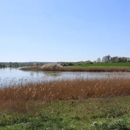 Mobil-home Avec Terrasse Au Bord De L'etang, A 20 Min De Nancy - Activites Nautiques Et Randonnees - Fr-1-584-301 *