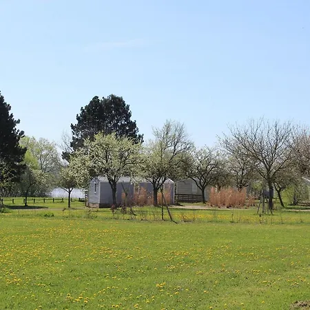 Mobil-home Avec Terrasse Au Bord De L'etang, A 20 Min De Nancy - Activites Nautiques Et Randonnees - Fr-1-584-301